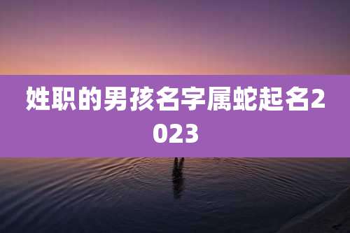 姓职的男孩名字属蛇起名2023