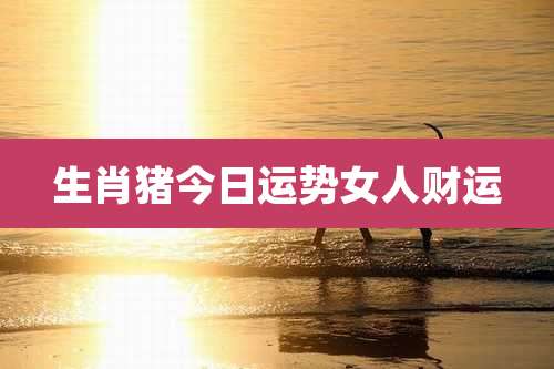 生肖猪今日运势女人财运