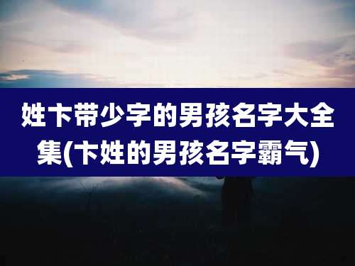 姓卞带少字的男孩名字大全集(卞姓的男孩名字霸气)