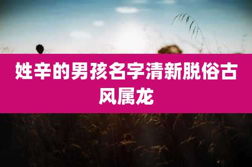 姓辛的男孩名字清新脱俗古风属龙
