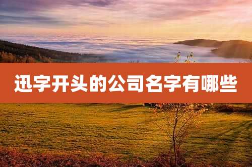 迅字开头的公司名字有哪些