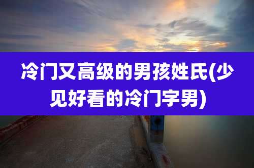 冷门又高级的男孩姓氏(少见好看的冷门字男)