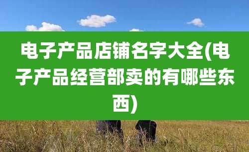 电子产品店铺名字大全(电子产品经营部卖的有哪些东西)