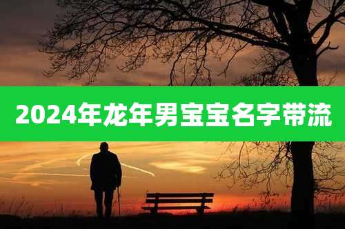 2024年龙年男宝宝名字带流