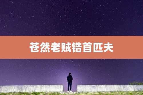 苍然老贼锆首匹夫