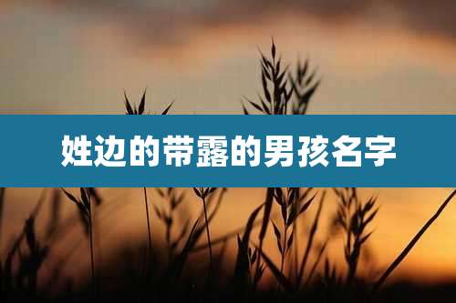 姓边的带露的男孩名字