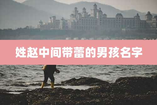 姓赵中间带蕾的男孩名字