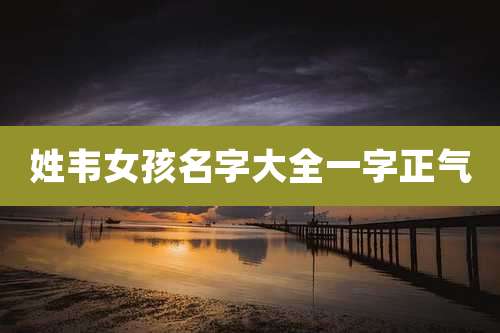 姓韦女孩名字大全一字正气