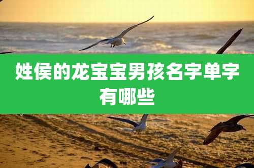 姓侯的龙宝宝男孩名字单字有哪些