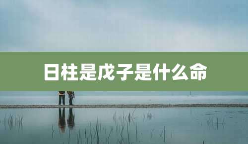 日柱是戊子是什么命