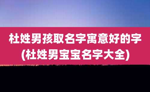 杜姓男孩取名字寓意好的字(杜姓男宝宝名字大全)