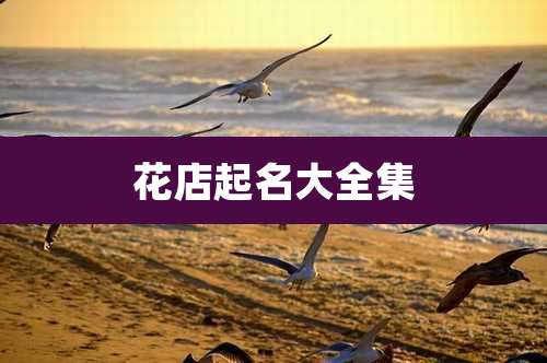 花店起名大全集