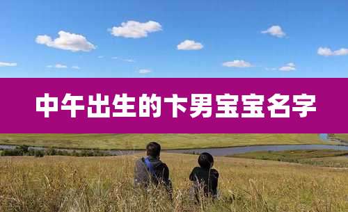 中午出生的卞男宝宝名字
