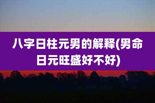 八字日柱元男的解释(男命日元旺盛好不好)