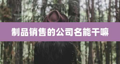 制品销售的公司名能干嘛