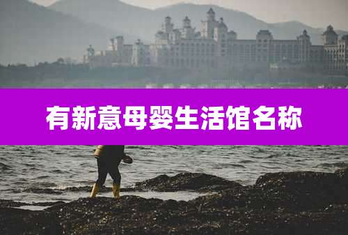 有新意母婴生活馆名称