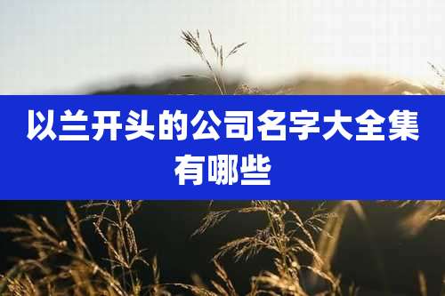 以兰开头的公司名字大全集有哪些