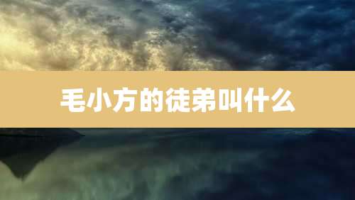 毛小方的徒弟叫什么