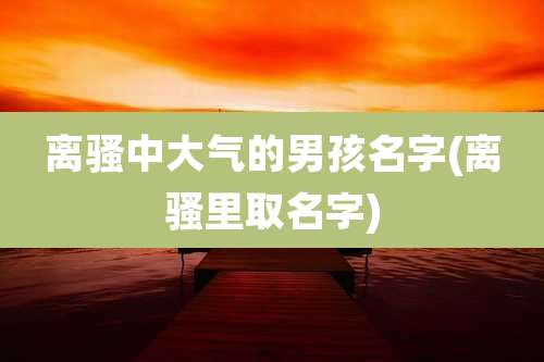 离骚中大气的男孩名字(离骚里取名字)