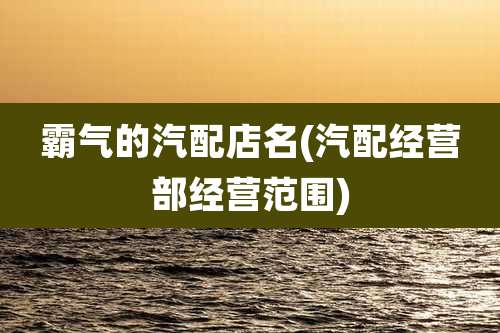 霸气的汽配店名(汽配经营部经营范围)