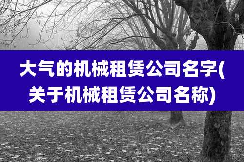 大气的机械租赁公司名字(关于机械租赁公司名称)