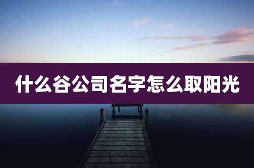 什么谷公司名字怎么取阳光