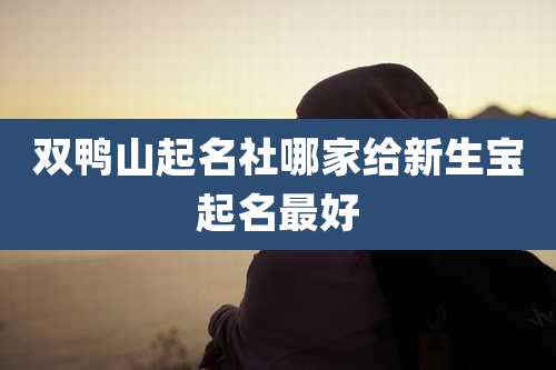 双鸭山起名社哪家给新生宝起名最好