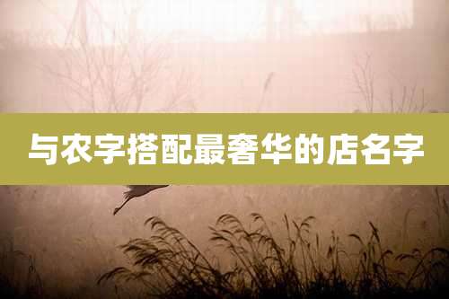 与农字搭配最奢华的店名字