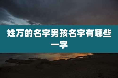 姓万的名字男孩名字有哪些一字
