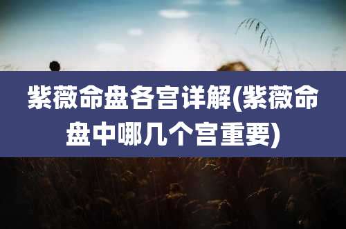 紫薇命盘各宫详解(紫薇命盘中哪几个宫重要)