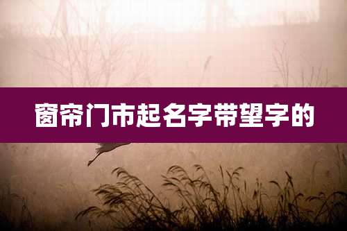 窗帘门市起名字带望字的