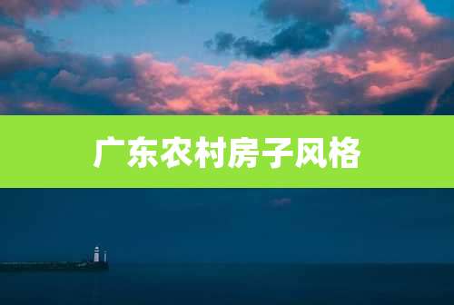 广东农村房子风格