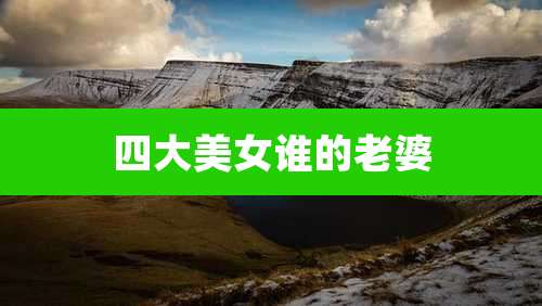 四大美女谁的老婆