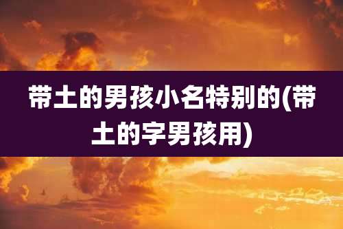 带土的男孩小名特别的(带土的字男孩用)