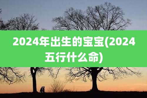 2024年出生的宝宝(2024五行什么命)