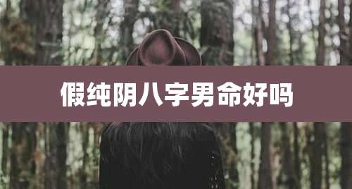 假纯阴八字男命好吗
