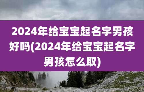 2024年给宝宝起名字男孩好吗(2024年给宝宝起名字男孩怎么取)