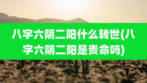 八字六阴二阳什么转世(八字六阴二阳是贵命吗)