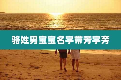 骆姓男宝宝名字带芳字旁