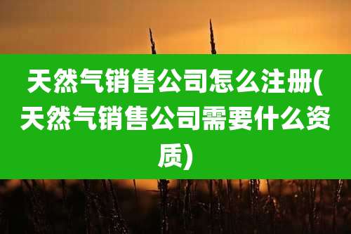 天然气销售公司怎么注册(天然气销售公司需要什么资质)