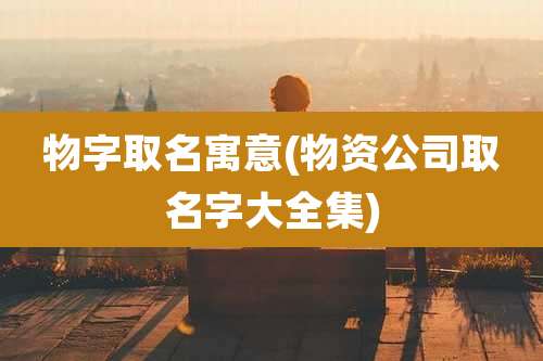 物字取名寓意(物资公司取名字大全集)