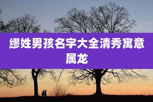 缪姓男孩名字大全清秀寓意属龙