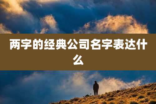 两字的经典公司名字表达什么