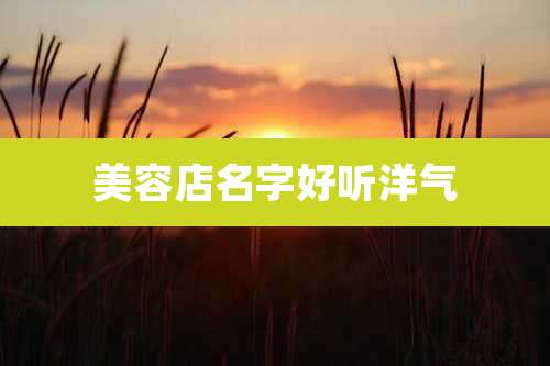 美容店名字好听洋气
