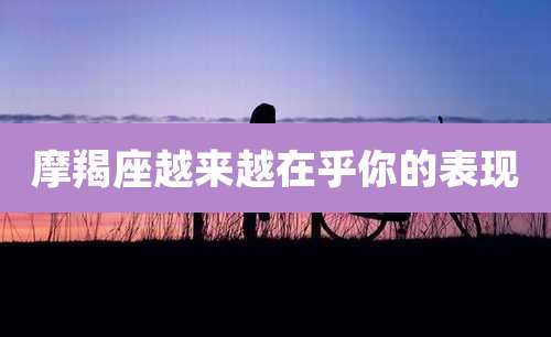 摩羯座越来越在乎你的表现