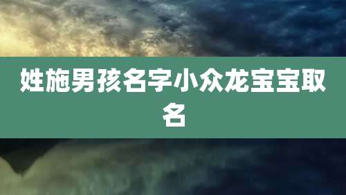姓施男孩名字小众龙宝宝取名