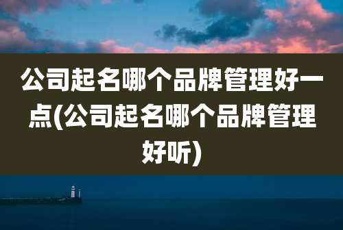 公司起名哪个品牌管理好一点(公司起名哪个品牌管理好听)