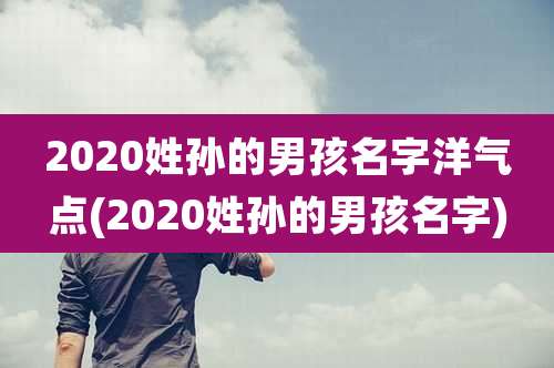 2020姓孙的男孩名字洋气点(2020姓孙的男孩名字)