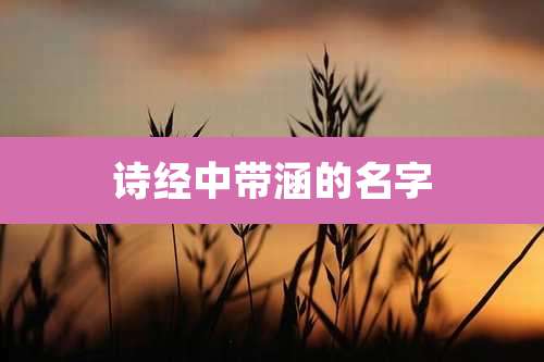 诗经中带涵的名字