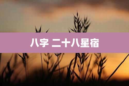 八字 二十八星宿